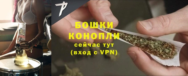 дживик Верея