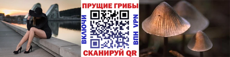 Псилоцибиновые грибы MAGIC MUSHROOMS  купить  сайты  Каменск-Уральский 