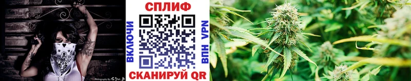 даркнет сайт  Каменск-Уральский  Канабис семена 
